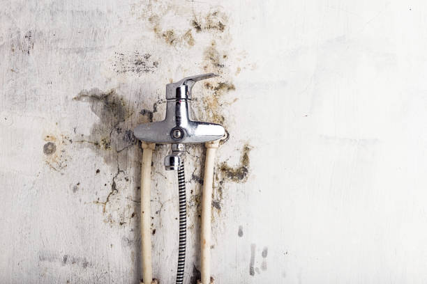 Best Emergency Mold Removal  in Reiffton, PA
