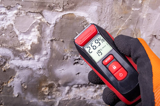 Reiffton, PA Mold Removal Company