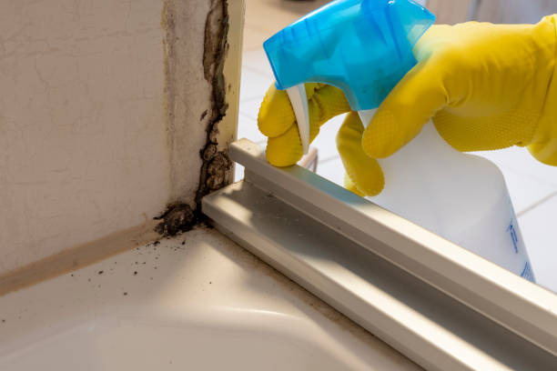 Best Water Damage Restoration  in Reiffton, PA