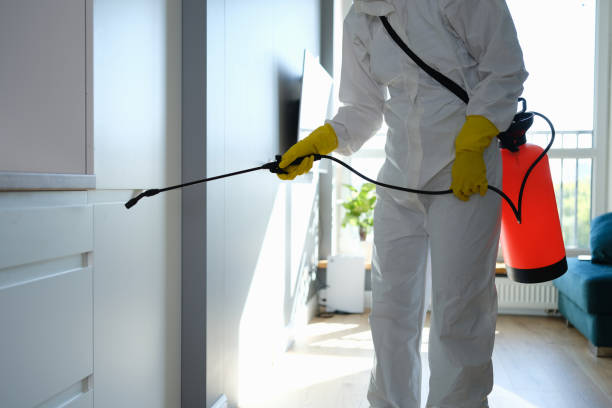 Best Crawl Space Mold Removal  in Reiffton, PA