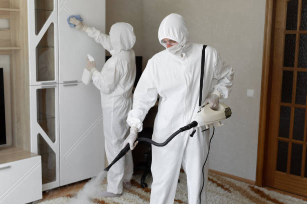 Best Mold Removal and Inspection  in Reiffton, PA