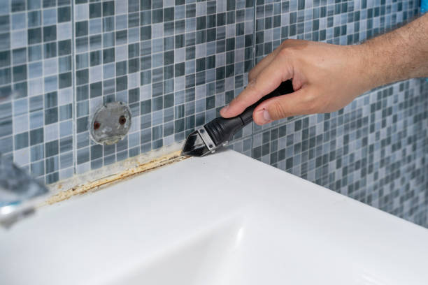 Best Professional Mold Removal  in Reiffton, PA