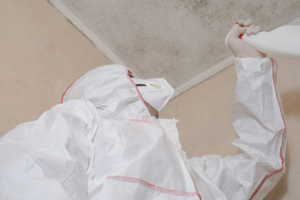 Best Mold Inspection  in Reiffton, PA