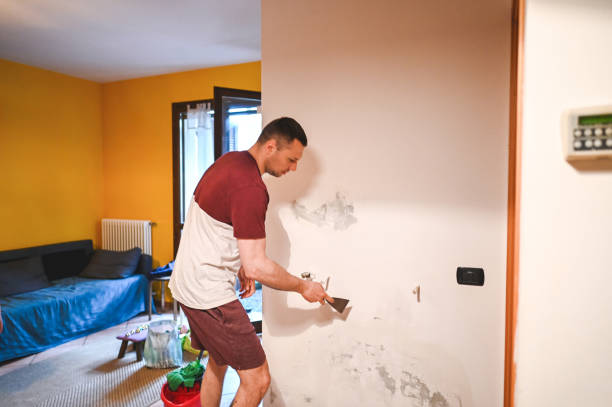 Best Residential Mold Removal  in Reiffton, PA