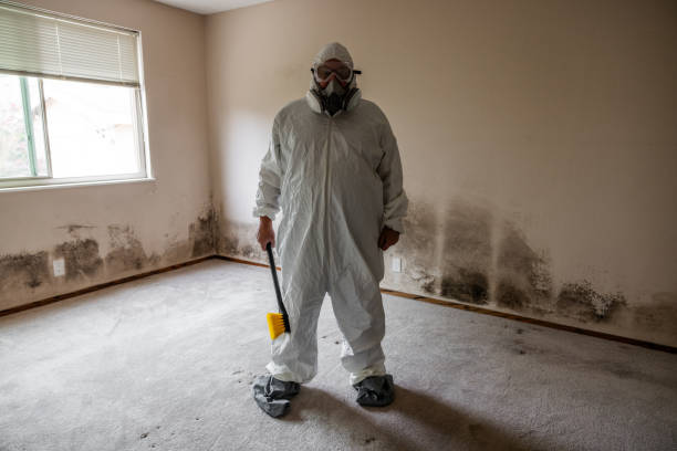 Office Mold Removal Services in Reiffton, PA
